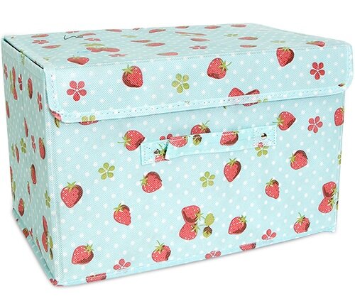 Blue Storage Box Blue Storage Box With Strawberrys Kawaii Interior