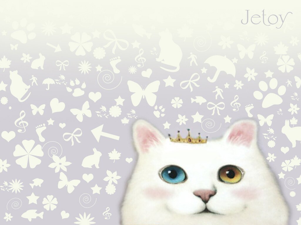 Jetoy Wallpaper Jetoy Cat Wallpaper Kawaii