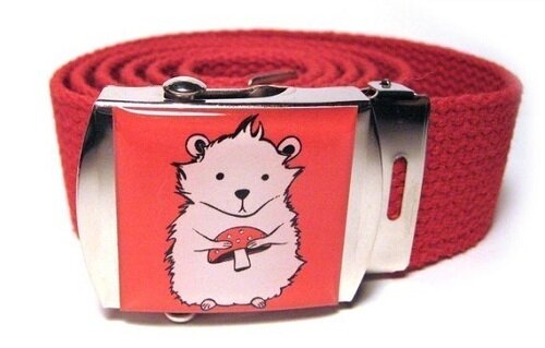 Red Kawaii Belt Red Kawaii Belt Kawaii Accessories