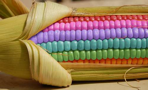 Rainbow Corn Rainbow Corn Rainbow Photoshop Effects Kawaii Blogging Rainbow