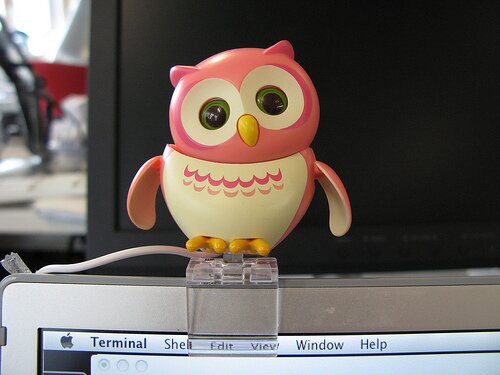 Pink USB Owl USB Owl In Pink Kawaii Gadget Blog